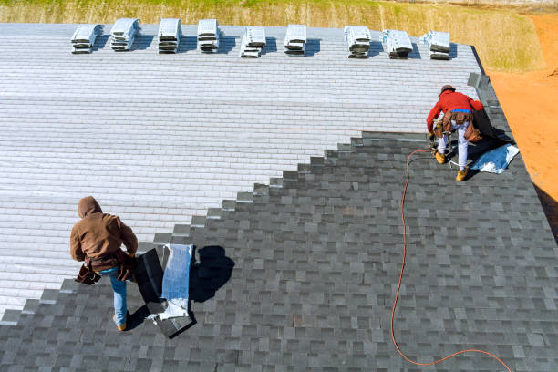 Best Roof Repair Services  in Sallisaw, OK