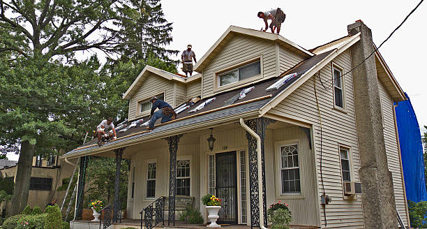 Best Metal Roofing Contractor  in Sallisaw, OK